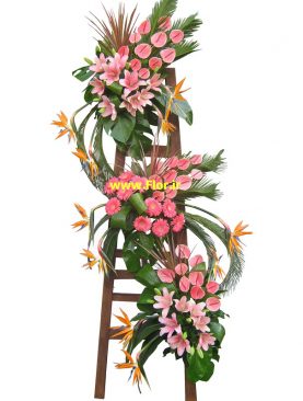 بزرگ و تشریفاتی 223