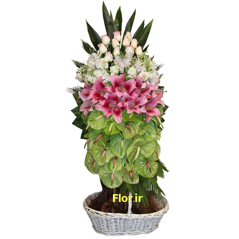 سبد گل